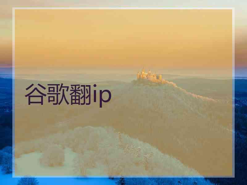 谷歌翻ip