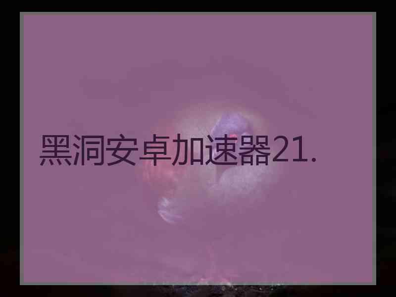 黑洞安卓加速器21.