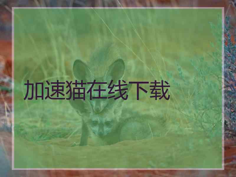 加速猫在线下载
