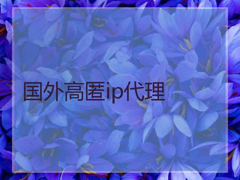 国外高匿ip代理