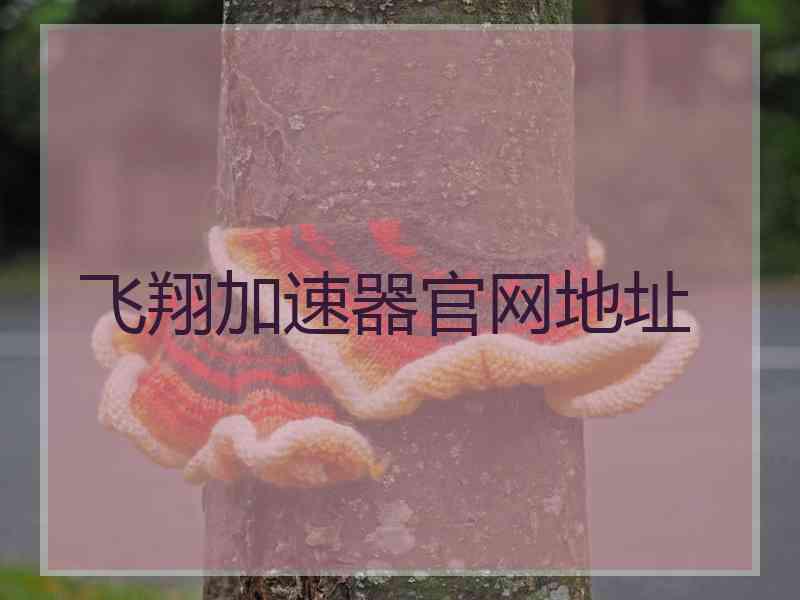 飞翔加速器官网地址