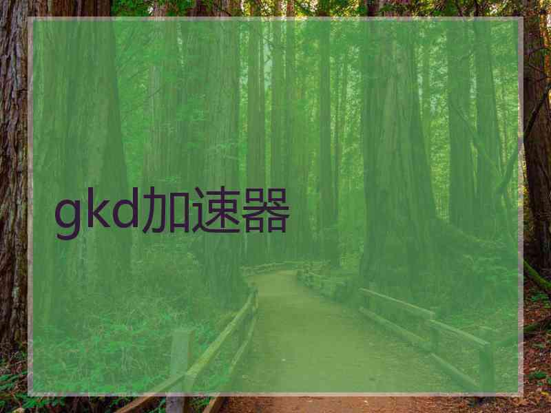 gkd加速器