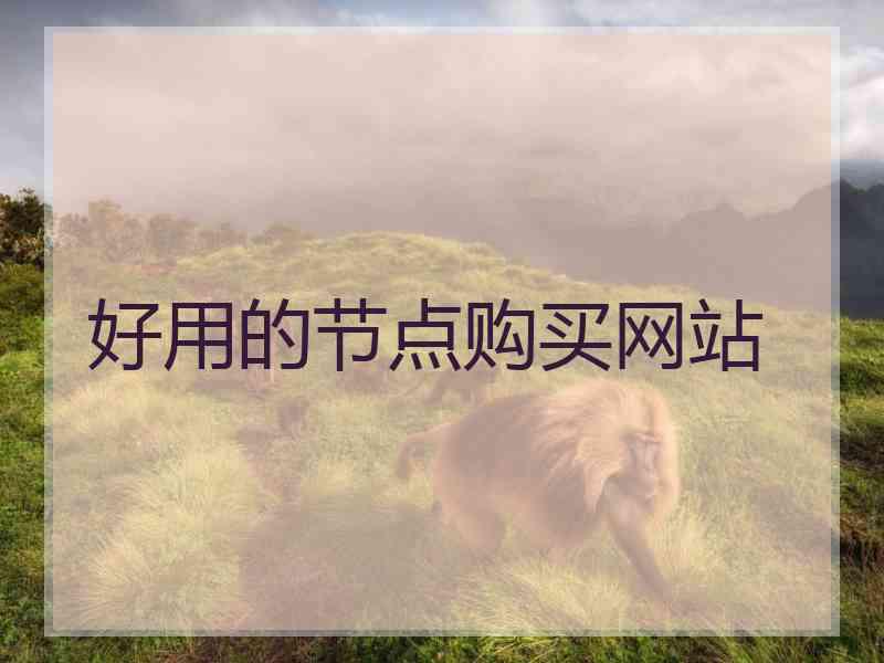好用的节点购买网站