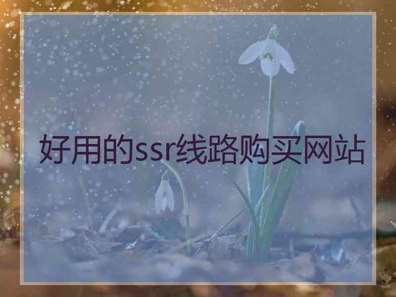 好用的ssr线路购买网站