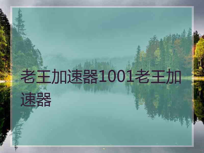 老王加速器1001老王加速器