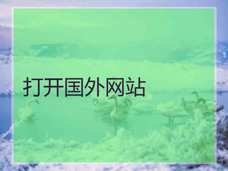 打开国外网站