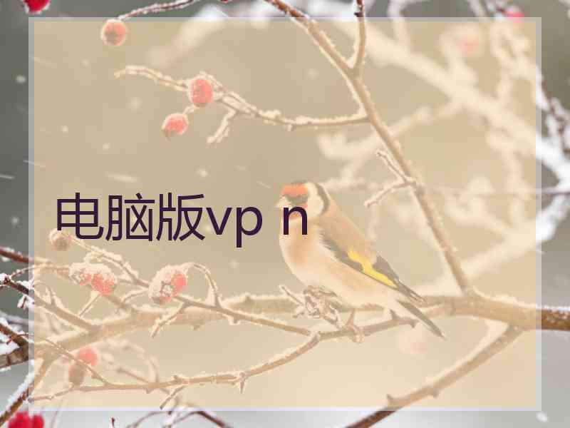 电脑版vp n