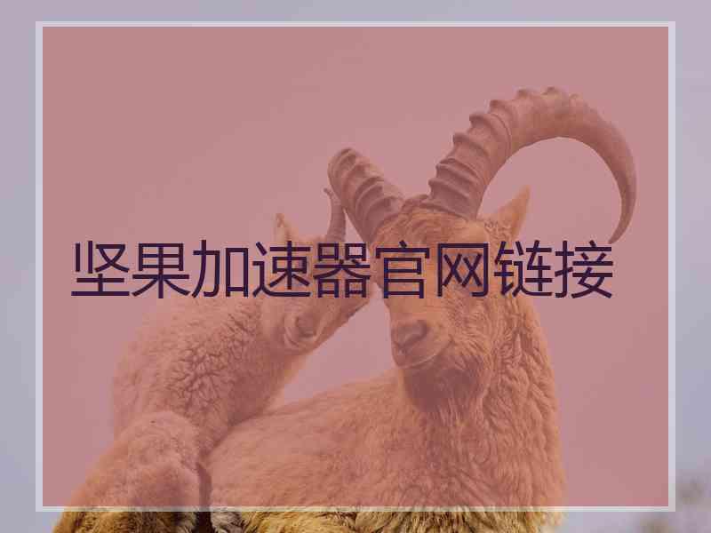 坚果加速器官网链接