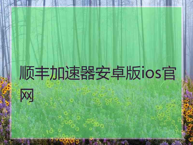 顺丰加速器安卓版ios官网