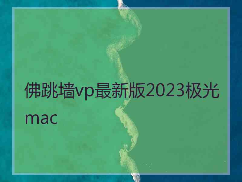 佛跳墙vp最新版2023极光 mac
