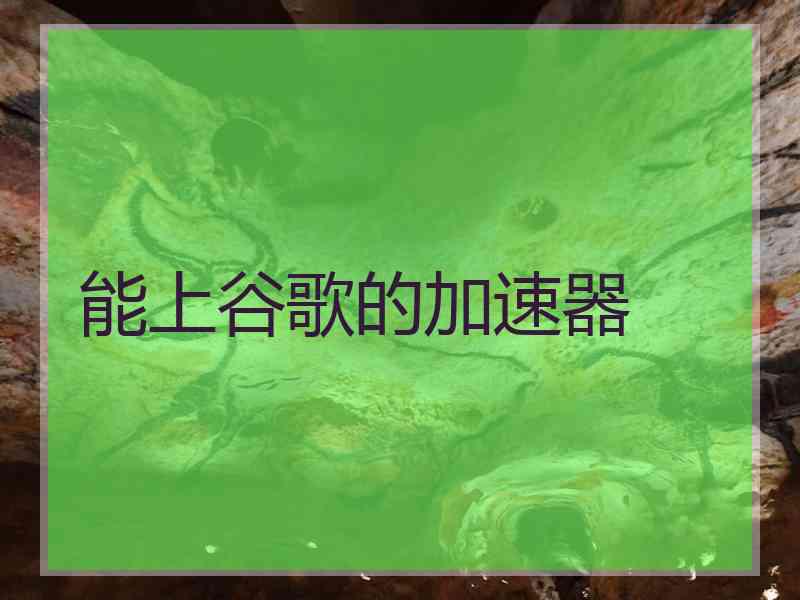 能上谷歌的加速器