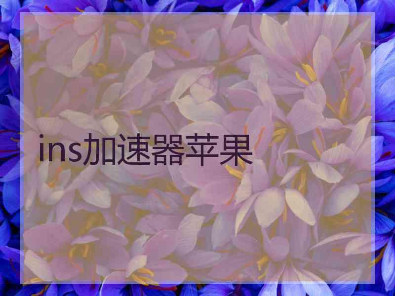 ins加速器苹果