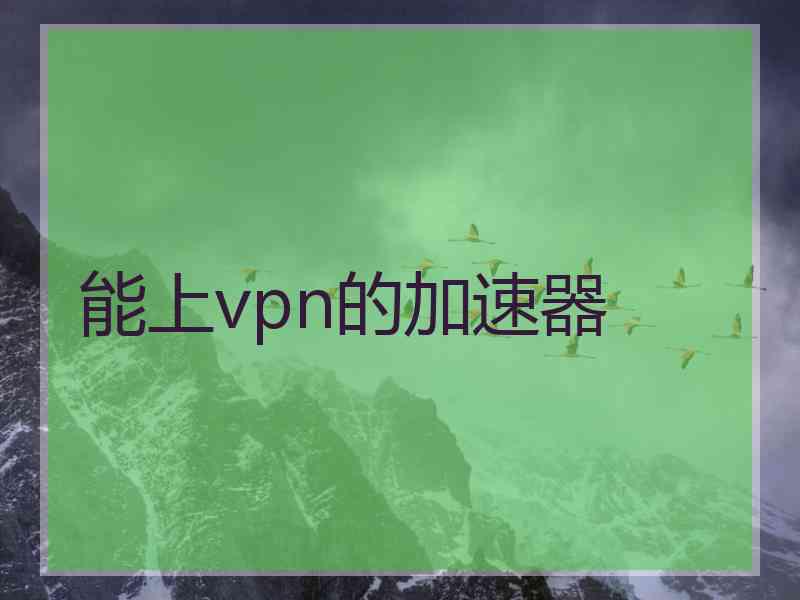 能上vpn的加速器