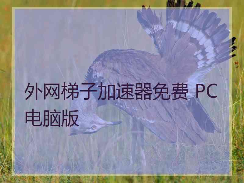 外网梯子加速器免费 PC电脑版