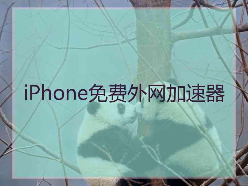 iPhone免费外网加速器