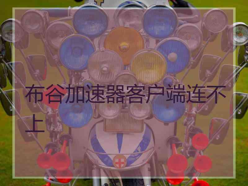 布谷加速器客户端连不上