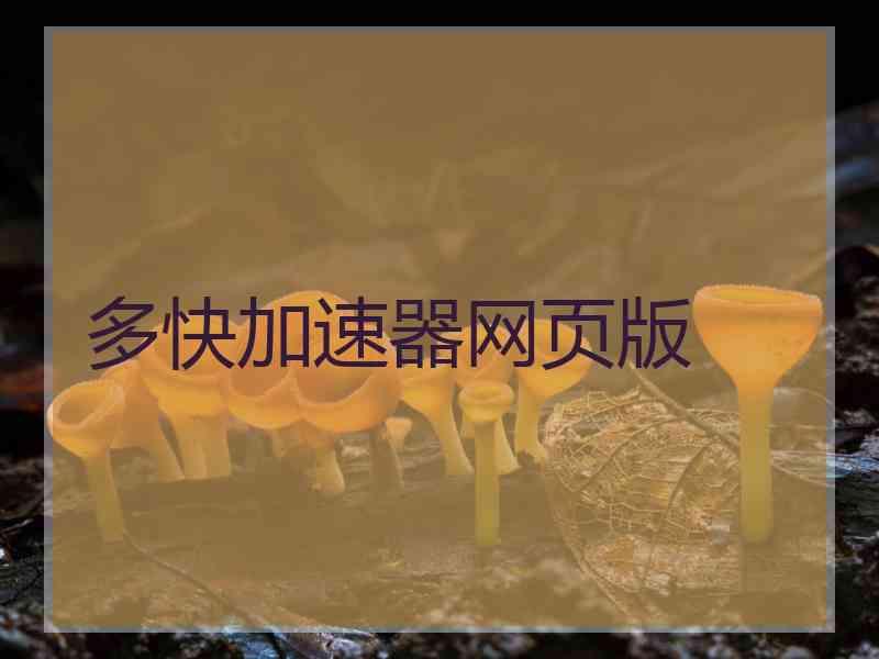 多快加速器网页版
