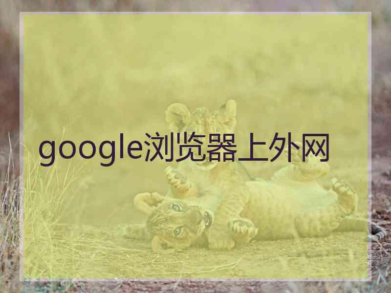 google浏览器上外网