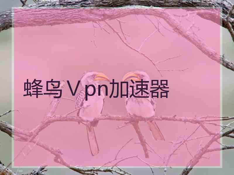 蜂鸟Ⅴpn加速器