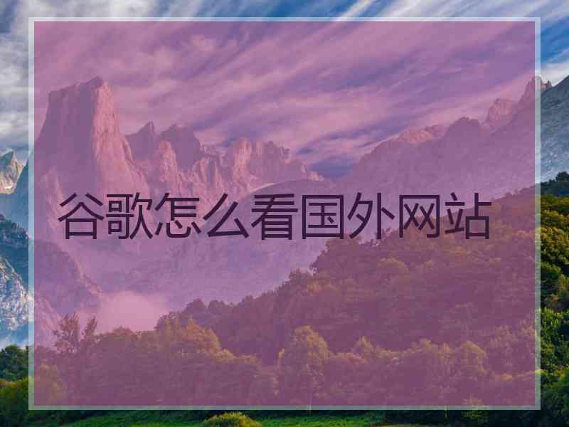 谷歌怎么看国外网站