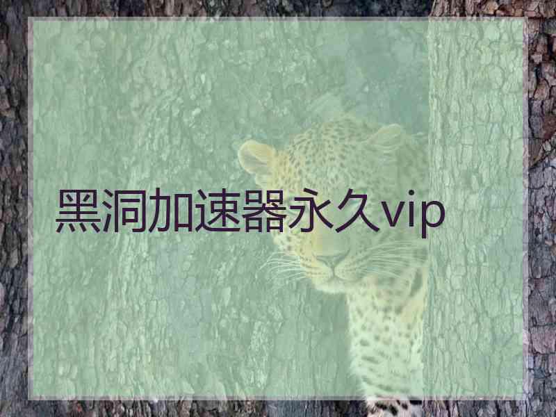 黑洞加速器永久vip