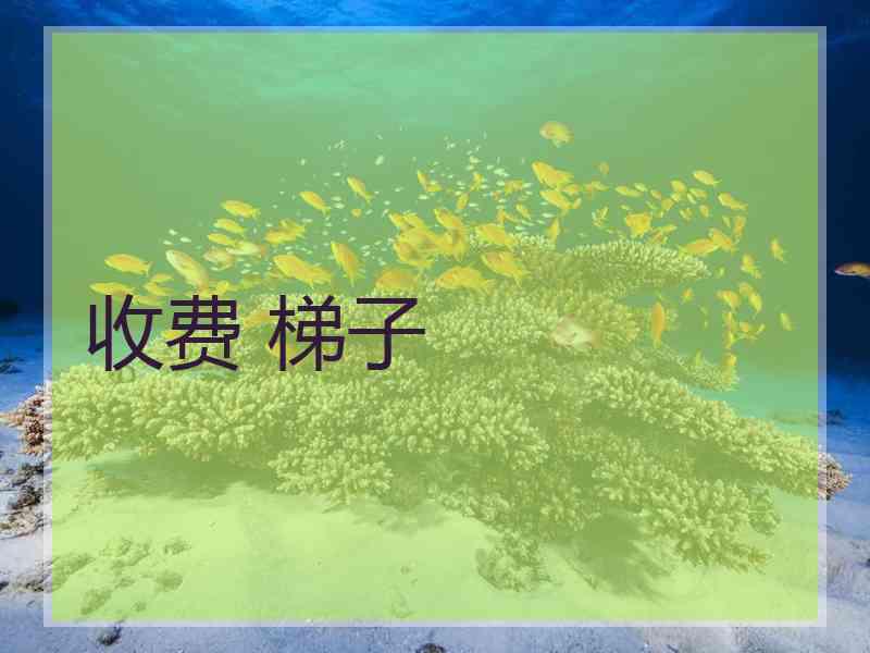 收费 梯子
