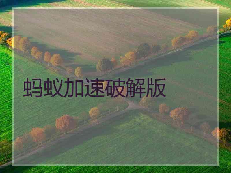 蚂蚁加速破解版