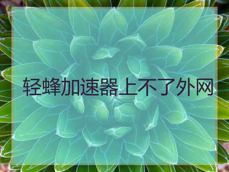轻蜂加速器上不了外网