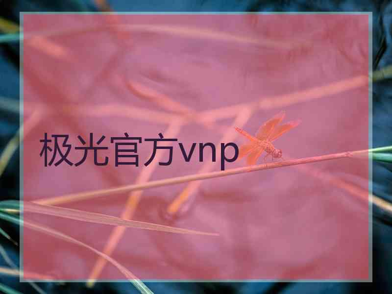 极光官方vnp