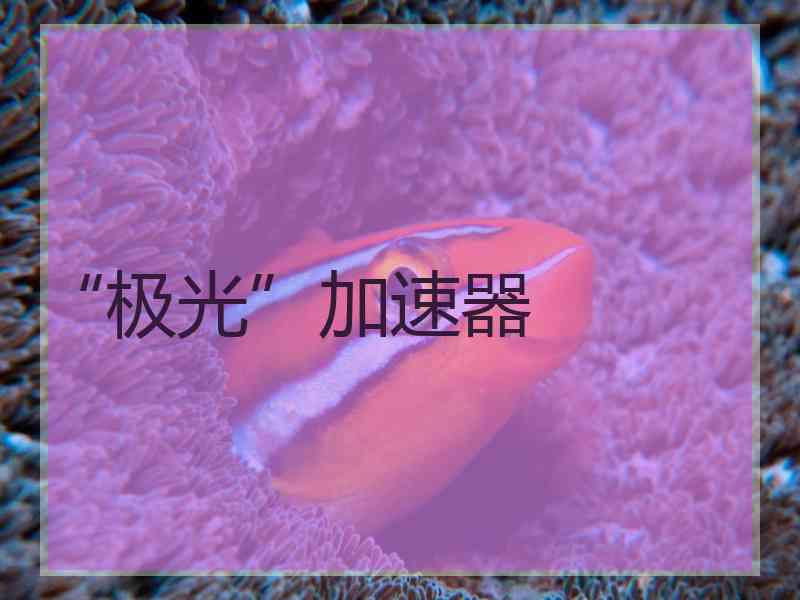 “极光”加速器