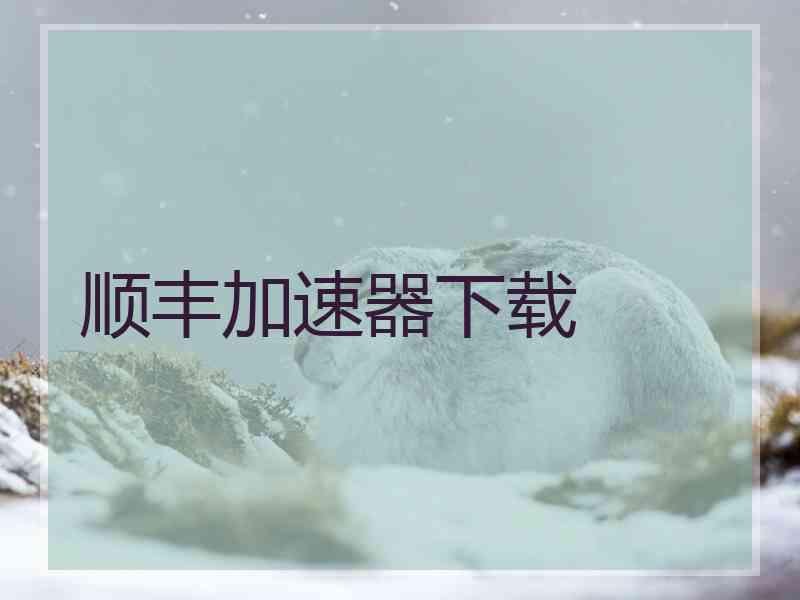顺丰加速器下载