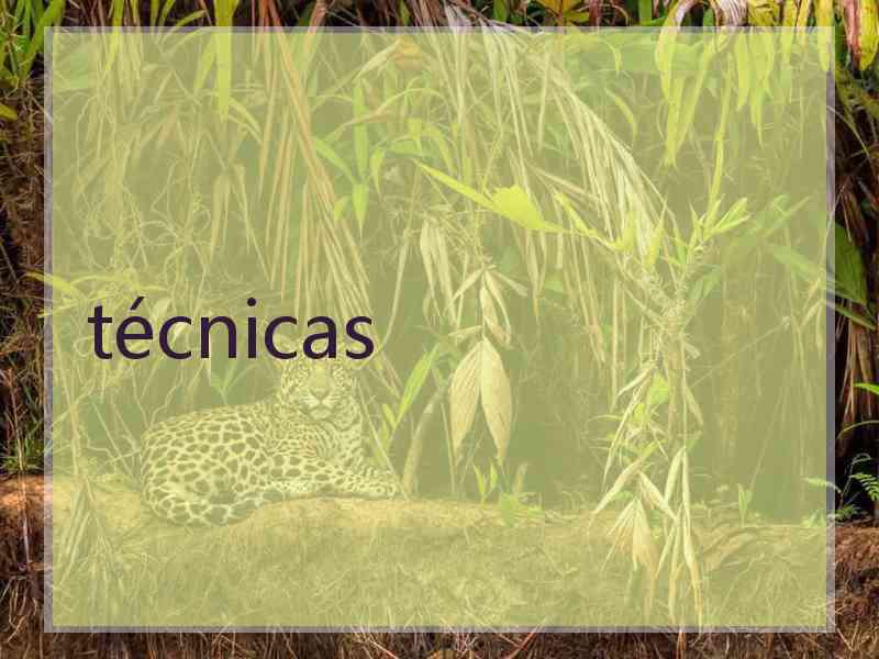 técnicas