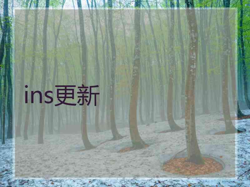 ins更新