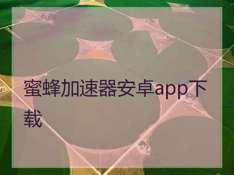 蜜蜂加速器安卓app下载