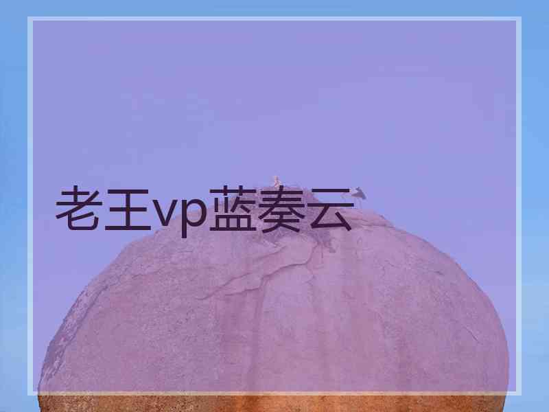 老王vp蓝奏云