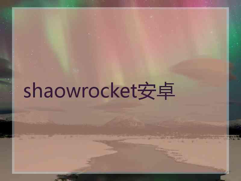 shaowrocket安卓