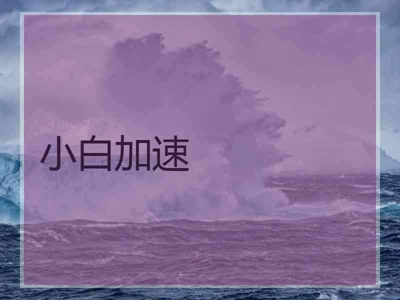 小白加速