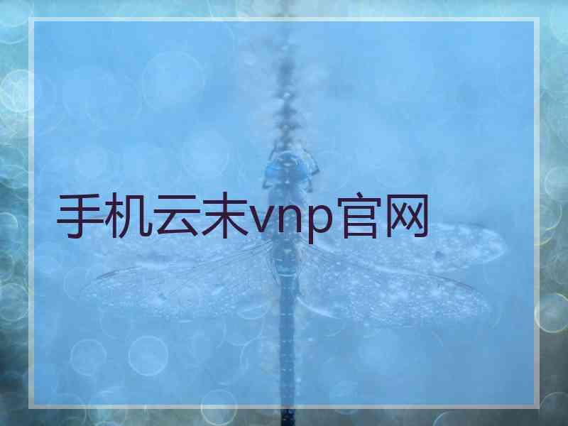 手机云末vnp官网