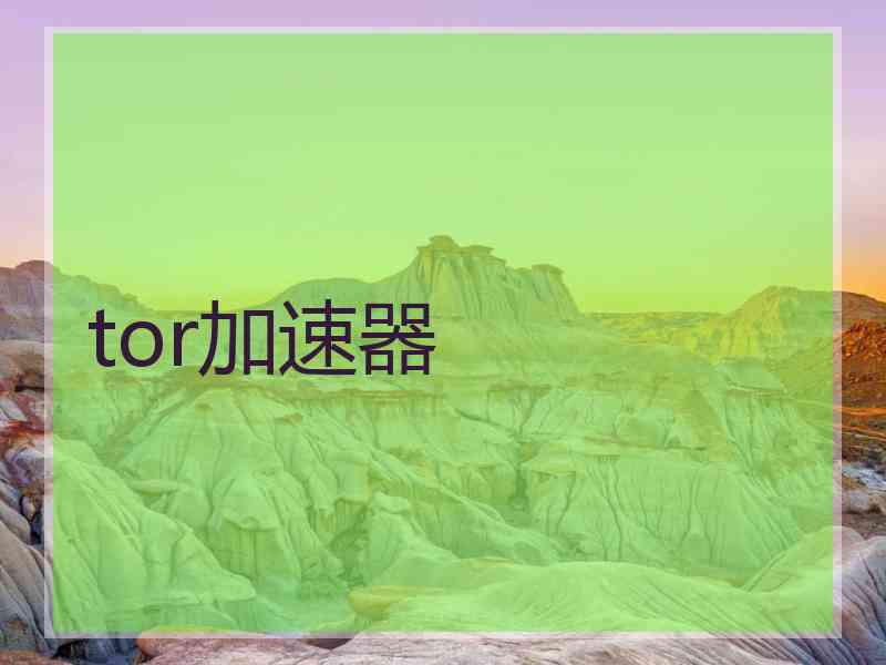 tor加速器