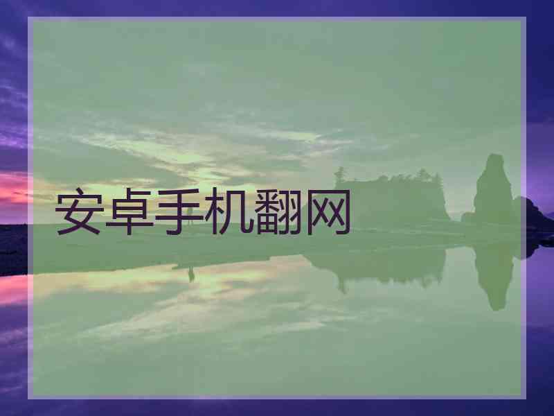 安卓手机翻网
