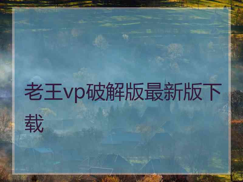 老王vp破解版最新版下载