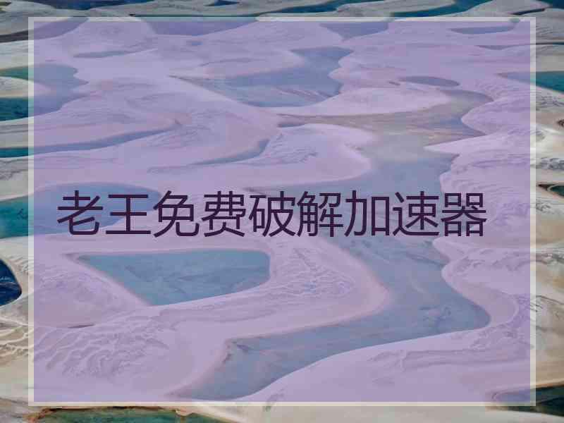 老王免费破解加速器