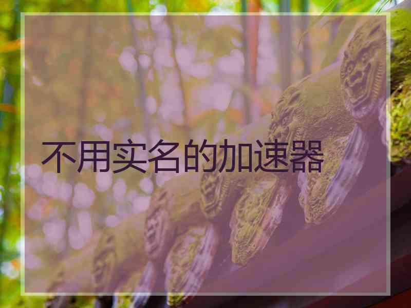 不用实名的加速器