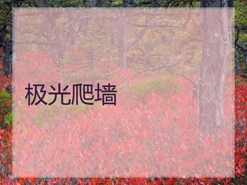 极光爬墙