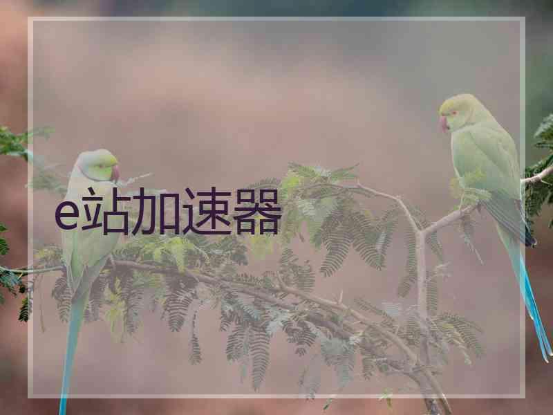 e站加速器
