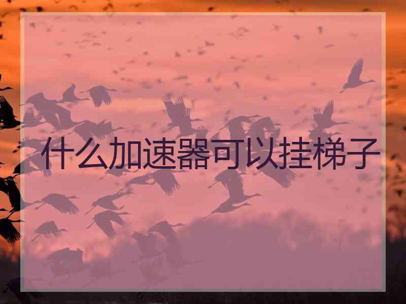 什么加速器可以挂梯子