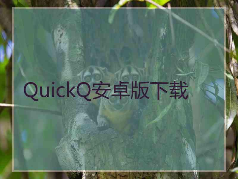 QuickQ安卓版下载