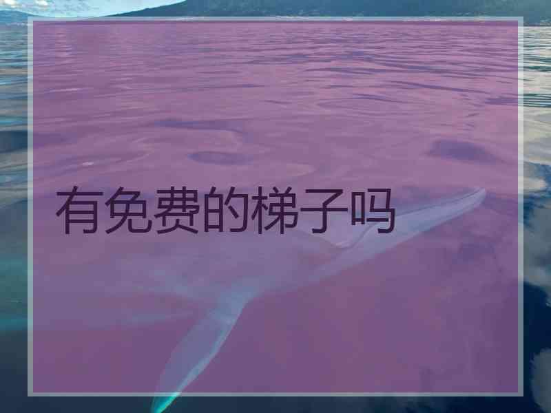 有免费的梯子吗