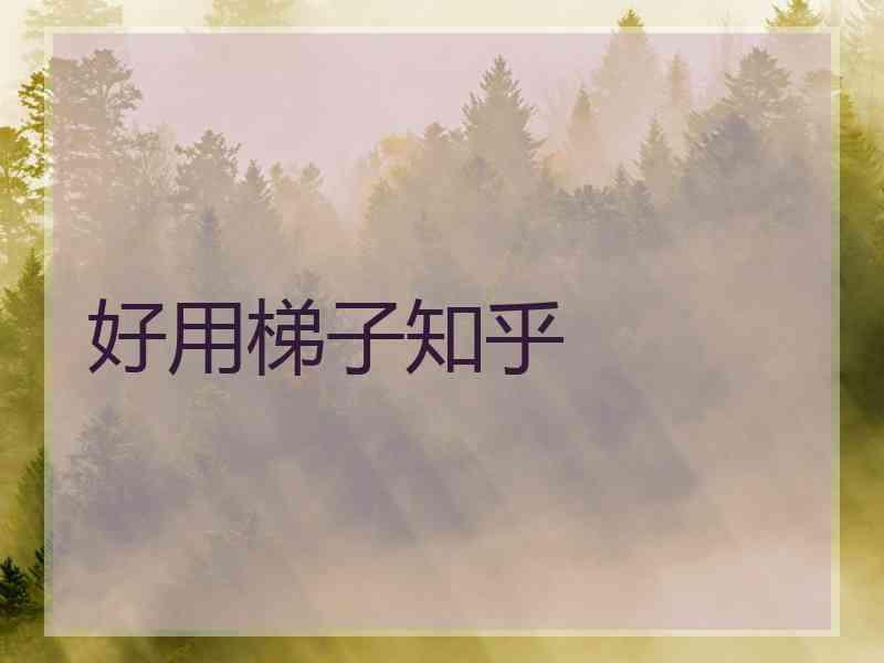 好用梯子知乎