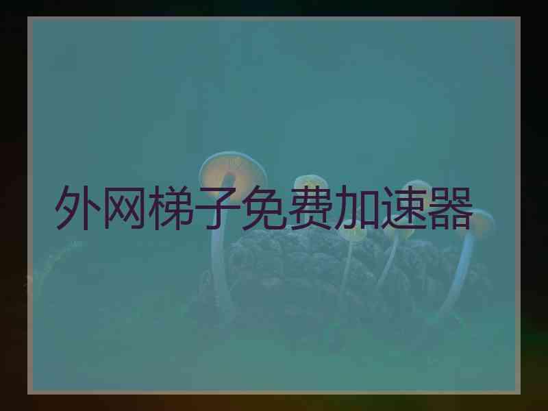 外网梯子免费加速器